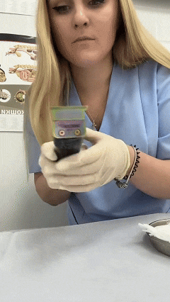 a woman in a blue scrub is holding a piece of paper that says " comikin "