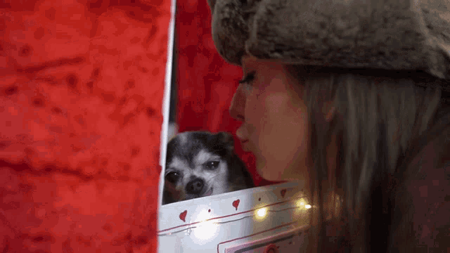 a woman looking at a small dog in a box