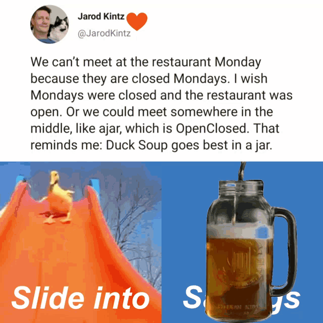 a picture of a duck on a slide next to a picture of a beer