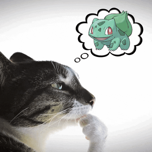 a cat thinking about a pokemon with a thought bubble