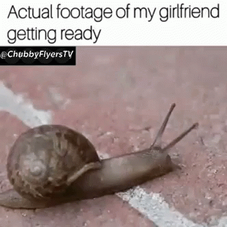 Snail Slow GIF - Snail Slow Girl Friend GIFs