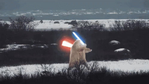 Osos Polares Pelea Jedi GIF - Polar Bear Light Saber GIFs