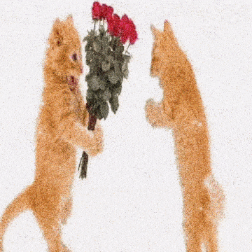 two cats are standing next to each other holding a bouquet of red roses .