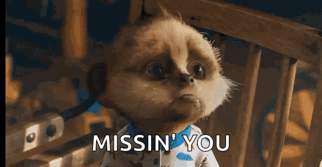 a cartoon meerkat is sitting in a chair and says missin ' you .