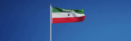 Somaliland Flag Jamhuuriyada Barakaysan GIF - Somaliland Flag Jamhuuriyada Barakaysan Jamhuuriyadda Barakaysan GIFs