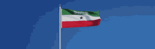 a red white and green flag with a star in the center