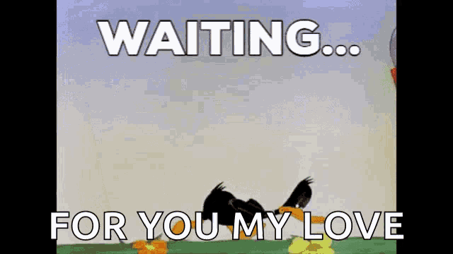 a cartoon of a bird laying on the ground with the words waiting for you my love below it
