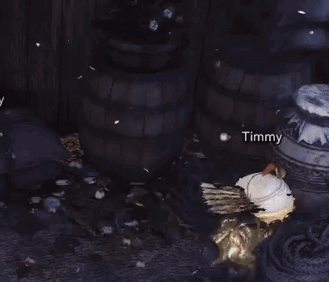 a video game character named timmy is standing in front of a fire