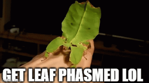 Get Leaf Phasmed Lol GIF - Get Leaf Phasmed Lol GIFs