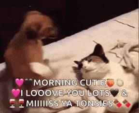 a dog and a cat are laying on a bed and the dog says morning cutie i looove you lots