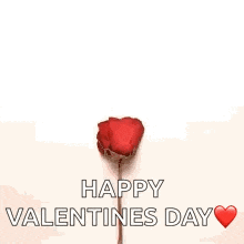 a heart made of rose petals with the words `` happy valentine 's day '' written below it .