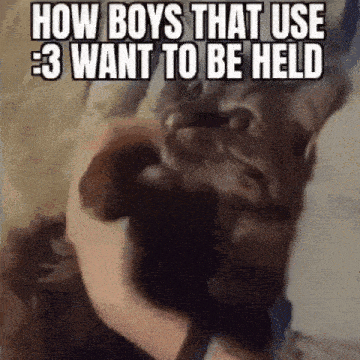 a person is holding a dog in their arms with a caption that says `` how boys that use 3 want to be held ''