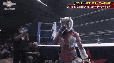 a woman in a mask stands in a wrestling ring with #stardom on the bottom