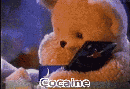 a teddy bear with the word cocaine written on it 's face
