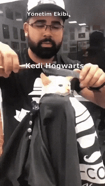Kedi Hogwarts Felix GIF - Kedi Hogwarts Felix Yonetim Ekibi GIFs