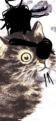 Cat Pirate GIF - Cat Pirate Breton GIFs