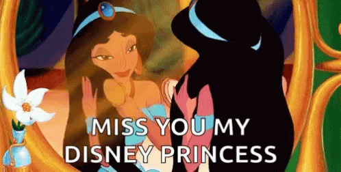 Aladdin Princess Jasmine GIF