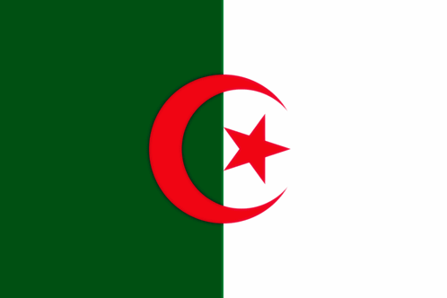 Algeria Dz GIF - Algeria Dz Dzair GIFs