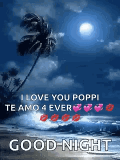a picture of a beach at night with a palm tree and the words `` i love you poppi te amo 4 ever good night ''