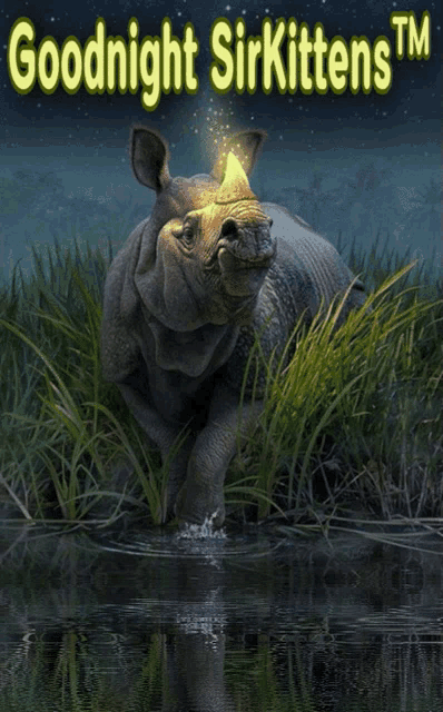 an advertisement for goodnight sirkittens tm shows a rhino in the water