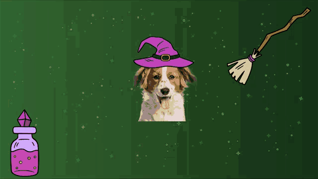 a dog wearing a witch hat is next to a broom and a potion bottle