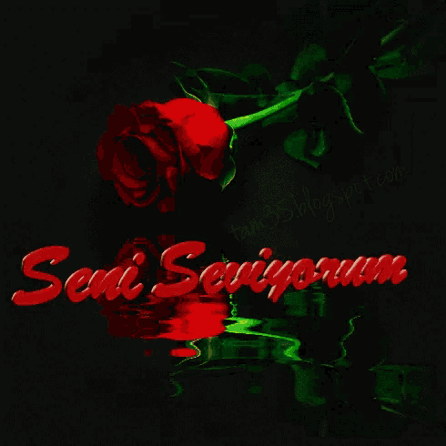 a red rose with a green stem is surrounded by the word sympathy in red letters