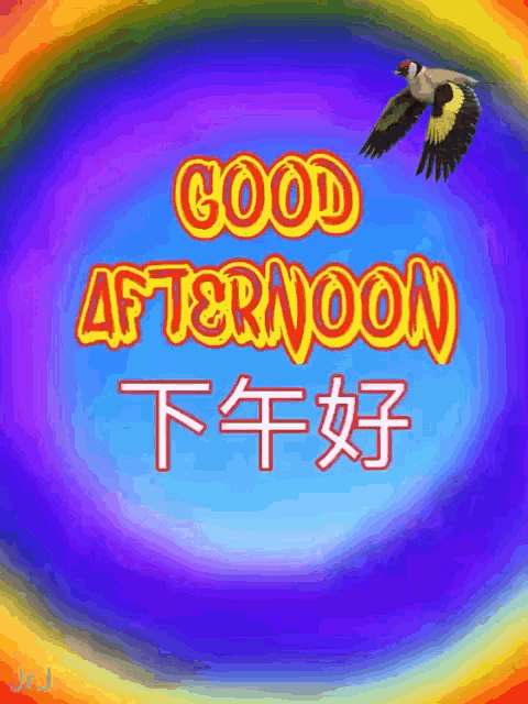 a colorful background with a bird and the words good afternoon on it