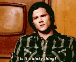 a man in a plaid shirt says " is it a kinky thing ? "