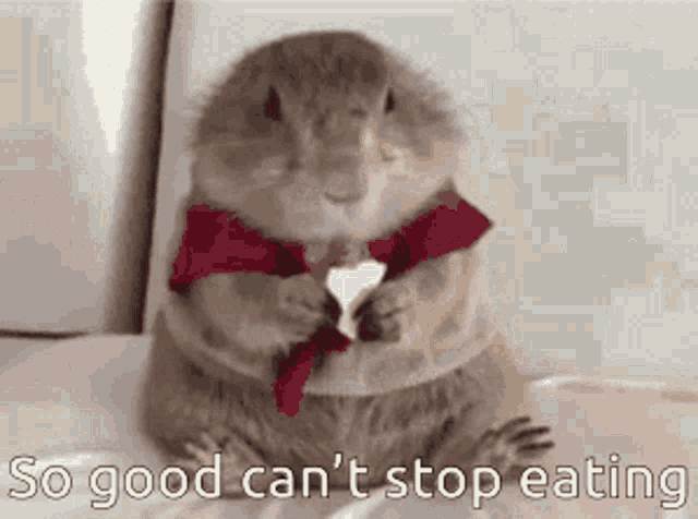 So Good Cant Stop GIF - So Good Cant Stop Eating GIFs