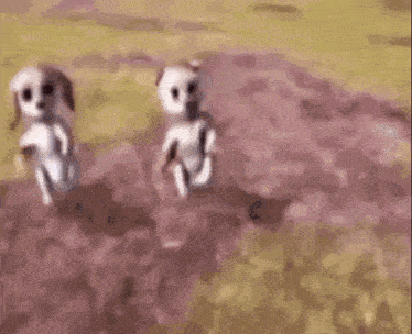 two cartoon dogs are walking in a field and looking at the camera .