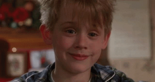 Home Alone Movies GIF - Home Alone Movies Eyebrows GIFs