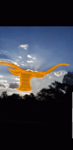 Texas Longhorns Hook Em Horns GIF - Texas Longhorns Hook Em Horns GIFs