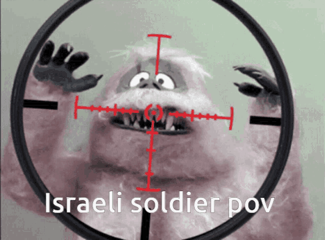 a sniper scope shows a cartoon character with the words " israeli soldier pov " below it