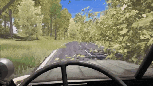 a car is driving down a road with trees on both sides