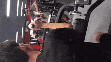 Coen And Marcus Cole Gym GIF - Coen And Marcus Cole Gym Sir Hagham GIFs
