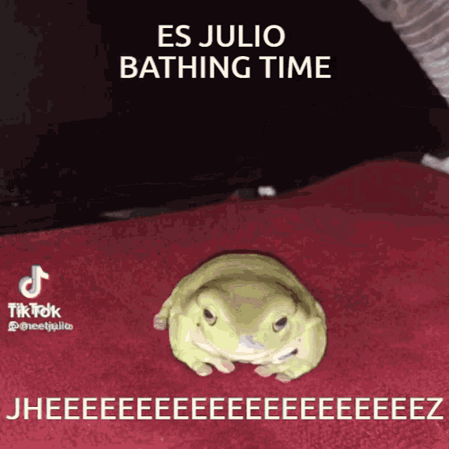 Es Julio Bathing Time Frog GIF - Es Julio Bathing Time Frog Bathing GIFs