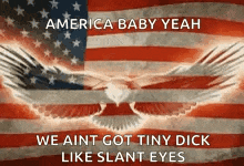 an american flag with an eagle on it and the words america baby yeah we ain t got tiny dick like slant eyes