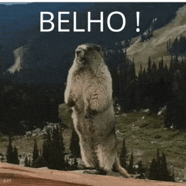 a ground squirrel standing on its hind legs with the words belho written above it