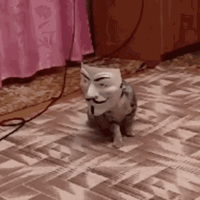 анонимкотanonim Cat GIF - анонимкотanonim Cat Cat GIFs