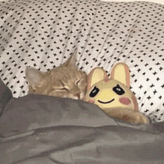 a cat and a stuffed animal are laying on a bed .