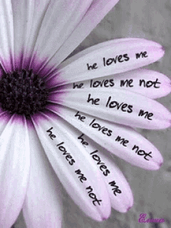 a purple and white flower with the words he loves me on the petals