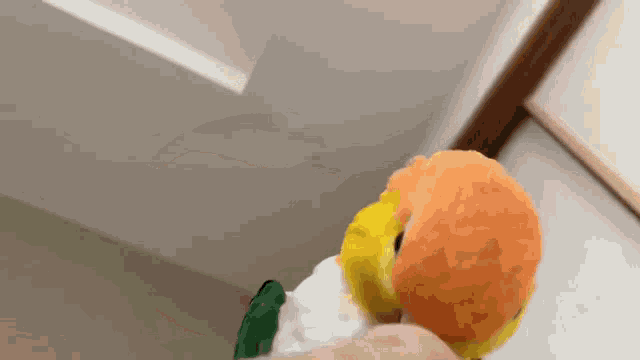 a yellow and orange parrot is sitting on a person 's finger .