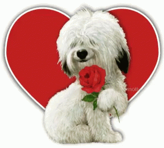 Valentines Day Dog Heart GIF - Valentines Day Dog Heart Roses GIFs