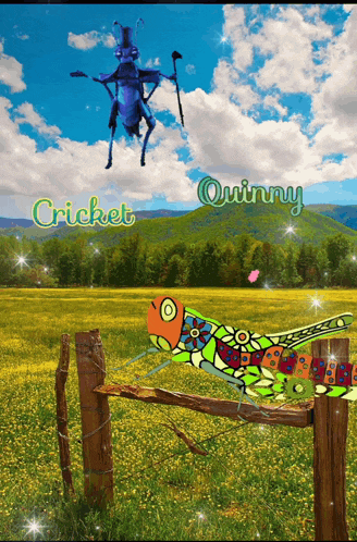 Cricket Quinny GIF - Cricket Quinny Cricket Quinny GIFs