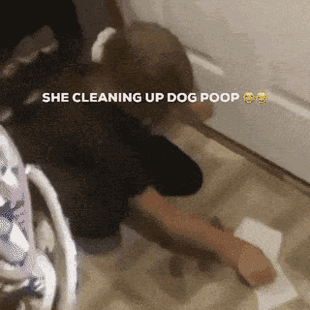 Dog Poop GIF - Dog Poop Twitter GIFs