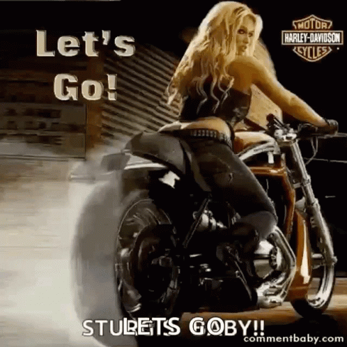 Lets Go Harley Davidson GIF - Lets Go Harley Davidson Ride GIFs