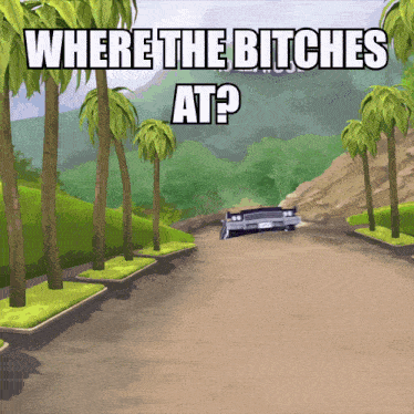a cartoon of a car on a dirt road with the words " where the bitches at "