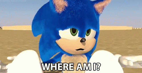 Where Am I Sonic GIF - Where Am I Sonic Confused GIFs