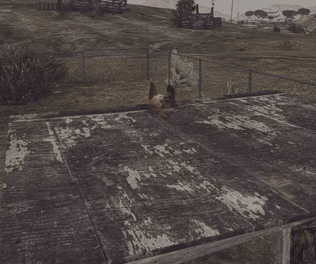 a chicken is sitting on a wooden platform in the middle of a field