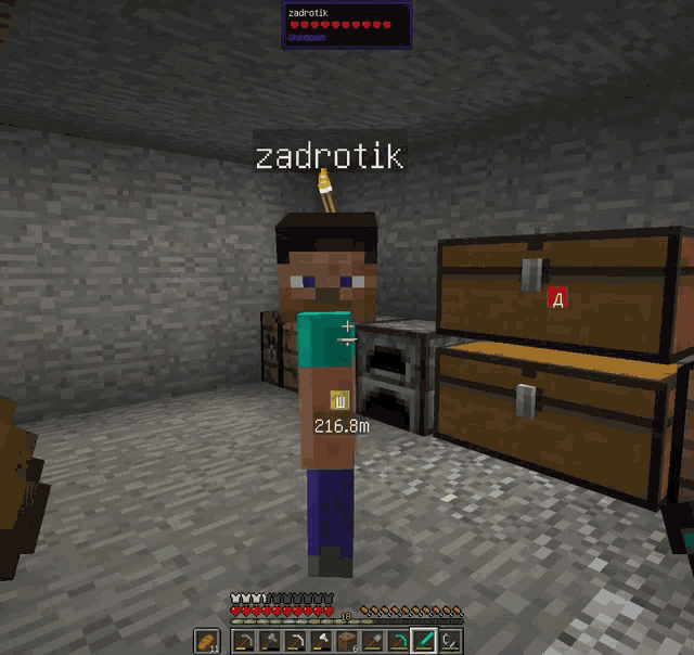 a screenshot of a minecraft game shows a character named zadrotk